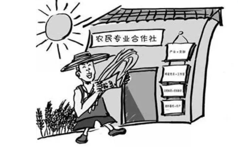 鄭州農(nóng)民專業(yè)合作社設立登記表格如何填寫