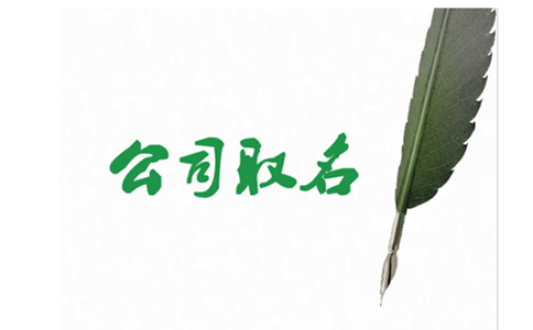 鄭東新區(qū)注冊公司核準(zhǔn)名稱在哪個網(wǎng)站？具體流程啥樣？
