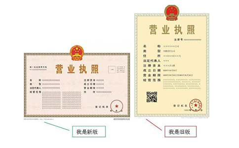 營業(yè)執(zhí)照副本編號怎么查詢？（最新詳細介紹）