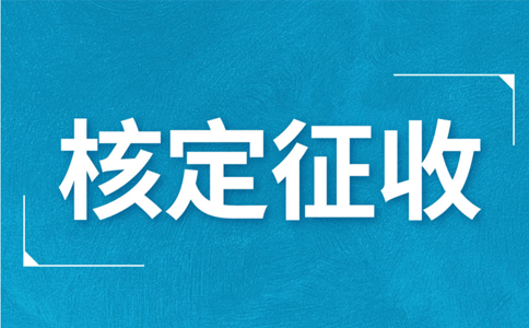 江西大額個(gè)體戶(hù)核定征收標(biāo)準(zhǔn)，2024年最新政策